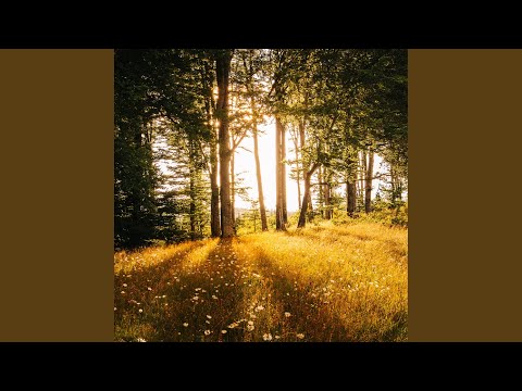 Let Love - Emorie