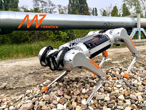 Honey Badger 4.0 Review Video 2