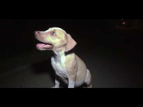 Staymix - Freestyle 2.0 [Grx Filmz]