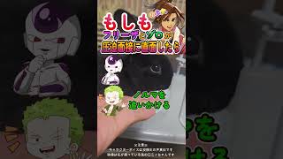 もしもフリーザとゾロが圧迫面接に直面したら！
