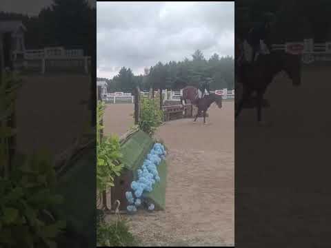Cassadino video 3