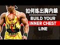 如何练出胸内線 | (Eng Sub) | Build Your Inner Chest Line | Terrence Teo