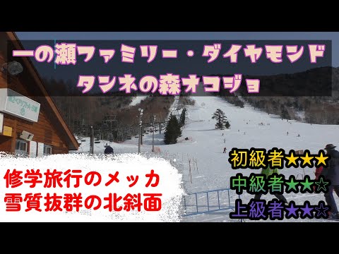 【スキー場ガイド】志賀高原　一の瀬ファミリー・ダイヤモンド・タンネの森オコジョスキー場