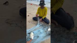 Hồ Tràm cùng T23Shop