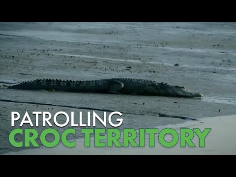 Shocking Croc Encounters in Kakadu National Park