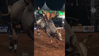Touro Cobiçado na Expo Palmeira 2026 🐂🔥