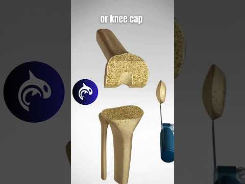 Need a new knee? Total Knee Replacement Explained | 3D Animation in 4K