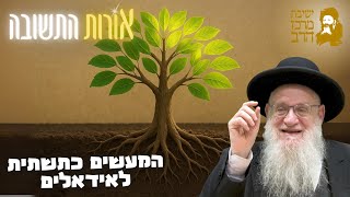 הרב יהושע מגנס | אורות התשובה | הנחיצות של התשובה המעשית מול האידיאלים העליונים | י"ח אלול תשפ"ה (ישיבת מרכז הרב) - התמונה מוצגת ישירות מתוך אתר האינטרנט יוטיוב. זכויות היוצרים בתמונה שייכות ליוצרה. קישור קרדיט למקור התוכן נמצא בתוך דף הסרטון הרב יהושע מגנס | אורות התשובה | הנחיצות של התשובה המעשית מול האידיאלים העליונים | י"ח אלול תשפ"ה (ישיבת מרכז הרב) - התמונה מוצגת ישירות מתוך אתר האינטרנט יוטיוב. זכויות היוצרים בתמונה שייכות ליוצרה. קישור קרדיט למקור התוכן נמצא בתוך דף הסרטון