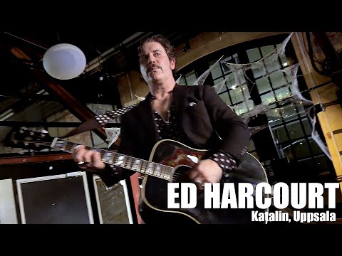 Ed Harcourt live at Katalin, Uppsala – 25 October 2025 | Solo Concert Highlights