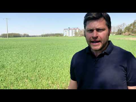 Von Experten für Profis – Düngerqualität auf die Einlagerung kommt es an!