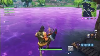 【フォートナイト】「今だけ！？　ルートレイク・アクティビティ」