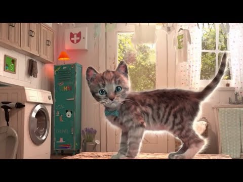 Little Kitten Adventures Dress-Up Party - Fun Cute Kitten Pet Care Kids Cartoon Games|| best game
