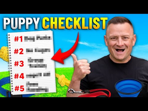 5 Puppy Essentials You Can’t Live Without!