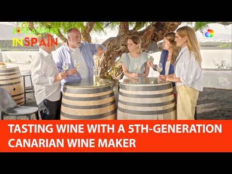 How wine is made on the volcanic island of Lanzarote in Spain