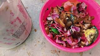 फर्टिलाइजर को डालते ही प्लांट की ग्रोथ बढ़ जायेगी #fertilizer #garden  #gardening #facts  #viral