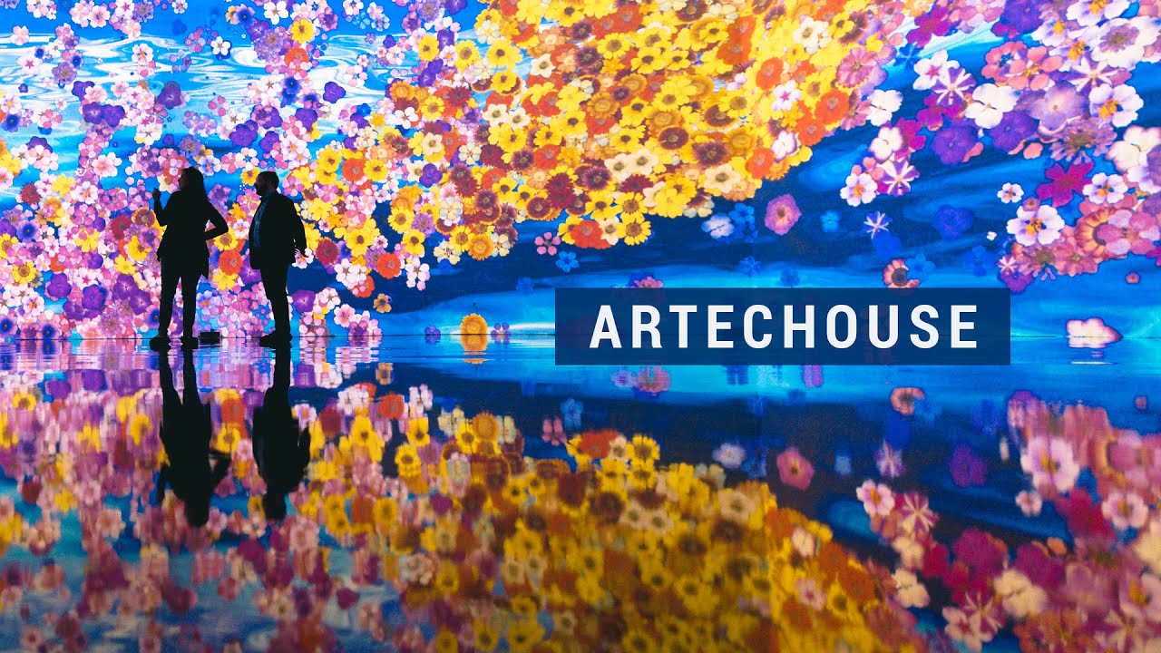 Artechouse DC — In Peak Bloom
