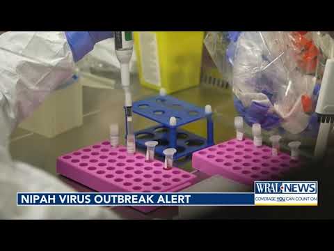 Outbreak of nipah virus has higher death rate than COVID. India says it is contained