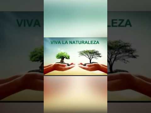 El Archivo Histórico de Santuario, Risaralda, un tesoro de memoria e identidad
