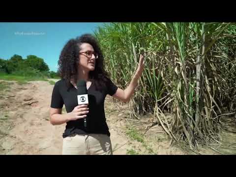 O Profissão Repórter investiga como funciona o "tribunal do crime."