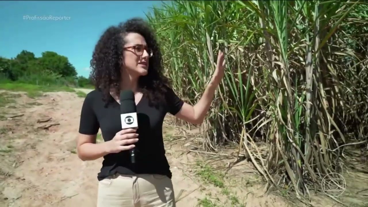 O Profissão Repórter investiga como funciona o "tribunal do crime."