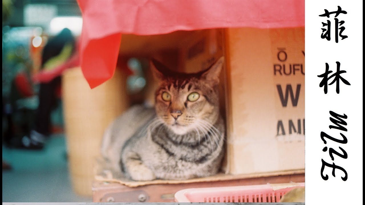 Фотопленка Kodak Color+ 200 135/24