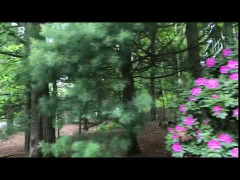 Bishops Forest Drive Waltham MA