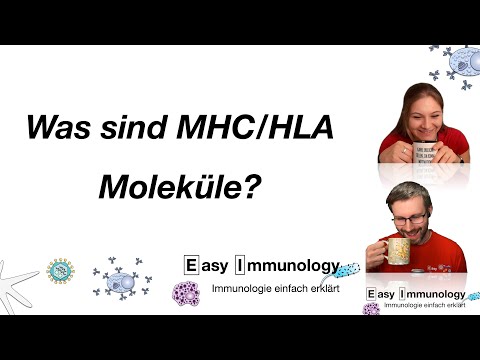 Season 8 - Folge 1: MHC Allgemeine Übersicht