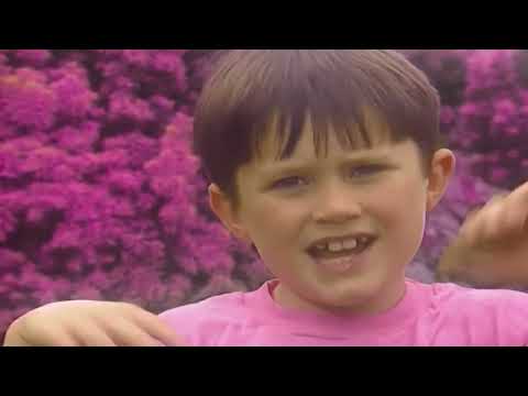 Teletubbies Colours Pink (My Version)