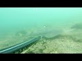 AHMET MADEN ZIPKIN AVI SPEARFISHING DEV KEMANE