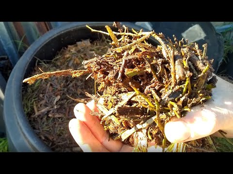 Composting In An Arid Lands Environment