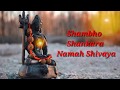 Shambho Shankara Namah Shivaya WhatsApp Status Hd Video