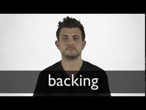 BACKING definition and meaning
