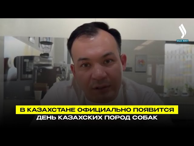 В Казахстане официально появится День казахских пород собак