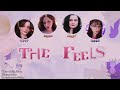 【Cover】TWICE - THE FEELS