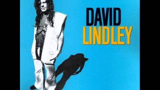 David Lindley - "Bye Bye Love"