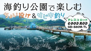 海釣り公園で楽しむ、ちょい投げ&サビキ釣り～テレスコタイプのグッドロッド～