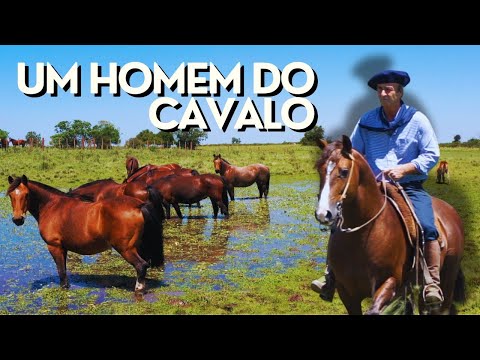 Alexandre Suñé: from breeder of Creole horses, rider, judge to commentator on Freio de Ouro!