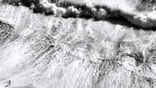 The Perishers   Never Bloom Again