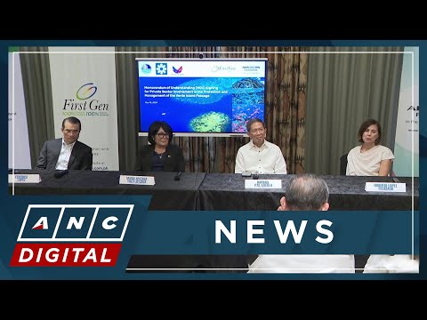 First Gen, ABS-CBN Corp. partner with PH gov't for protection of Verde Island Passage ANC
