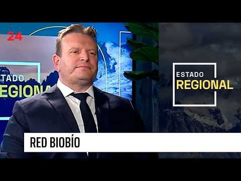 Alcalde Rodrigo Vera: "Casas o plantaciones forestales, pero no se pueden mezclar"