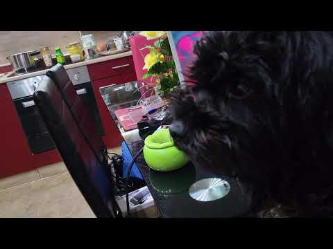 Reaktion auf Video von Maja Nowak Pauliene Tag 23