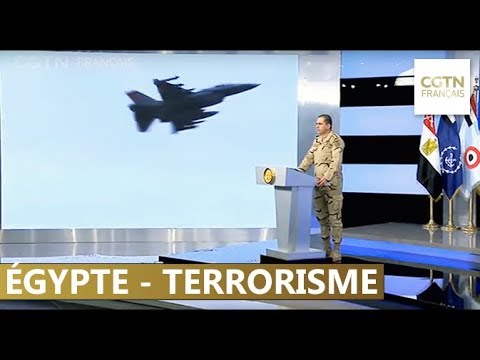 Bilan des opérations militaires égyptiennes "Sinaï 2018"