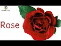 Flowers Name Flowers Flowers Name With Pictures Flowers Name With Spelling Flowers Name
