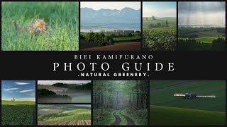 2024初夏　美瑛・上富良野撮影ガイドのお知らせ