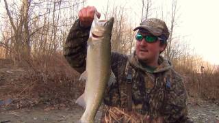 preview picture of video 'Steelhead Fishing Elk Creek 2012 Erie Pa'