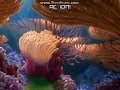 Finding Nemo DVD Opening Disc 1 Part 1