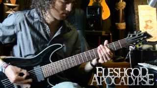 Fleshgod Apocalypse - The Egoism Cover - Daniel Boomsma