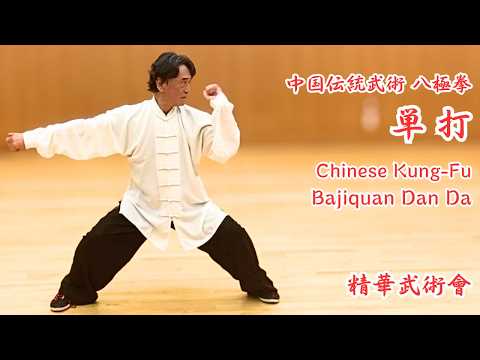 中国伝統武術 【八極拳 単打】