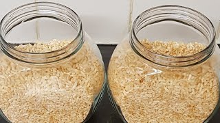 How to make Rice Krispies at Home | Puffed Rice | Home Made Rice Krispies