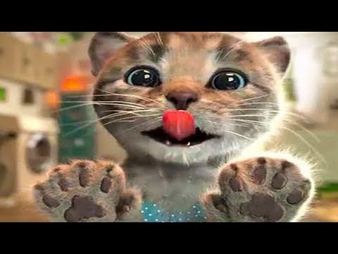 Gatinho fofo | Vídeos EM ALTA para crianças | Little Kitten Adventures